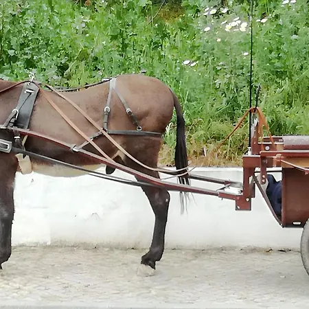Charming House In With Pool