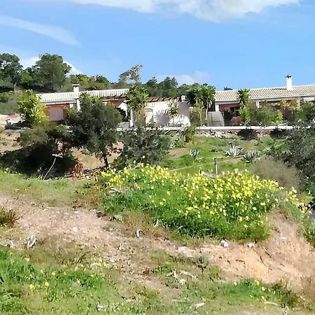 Charming House In With Pool Alte