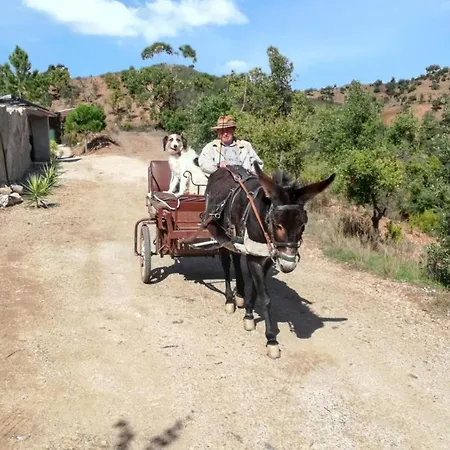 Charming House In With Pool