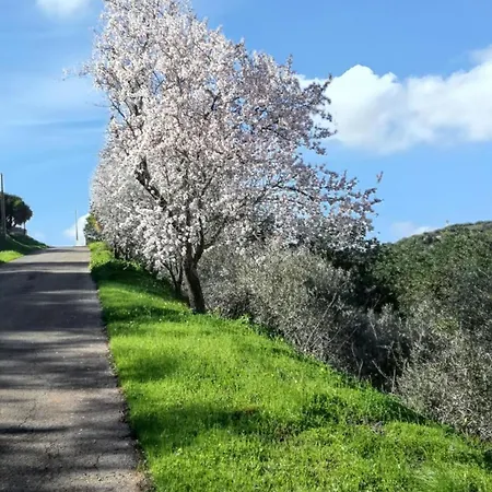 Vakantiehuis Charming House In With Pool