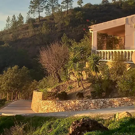 Charming House In With Pool