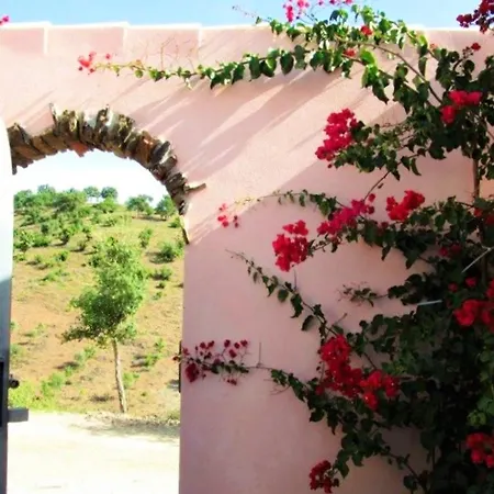 Vakantiehuis Charming House In With Pool *