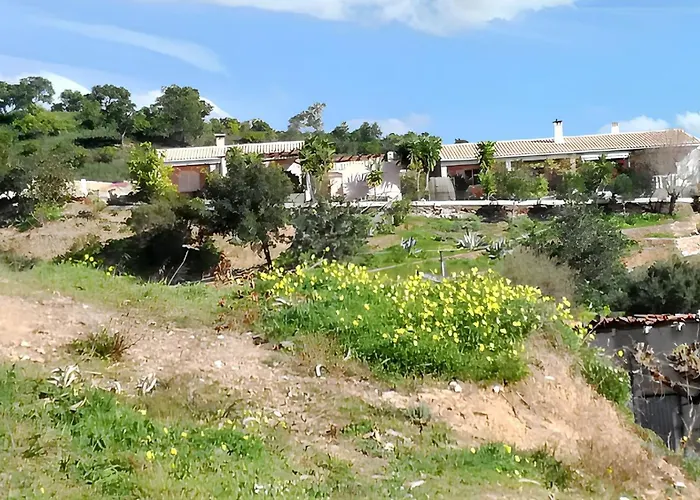 Charming House In With Pool Alte