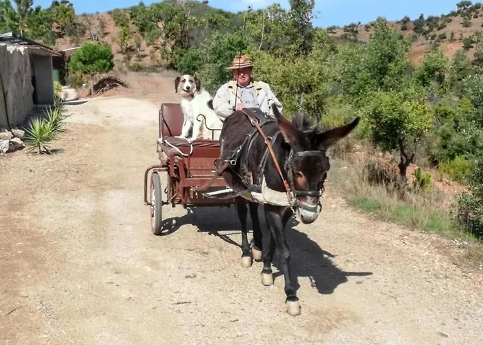 Charming House In With Pool