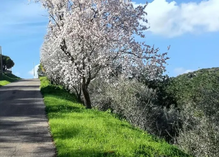 度假居 Charming House In With Pool